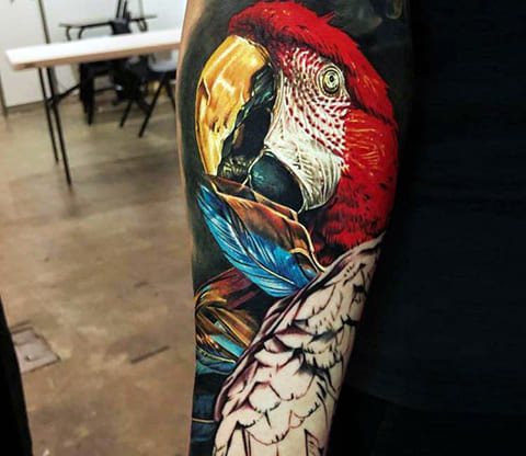 Papukaijan tatuointi käsivarteen