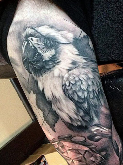 Tatuagem de papagaio