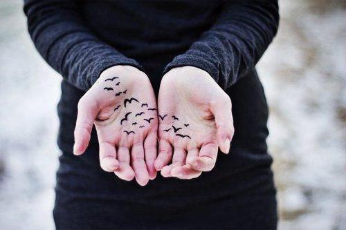 Tatuagem de pássaros no braço das raparigas
