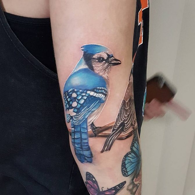 Tattoo Bird - Tattoo Bird - Tätoveering koos linnuga