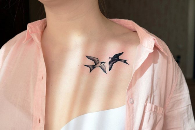 鎖骨に鳥のタトゥー。絵、意味、スケッチ