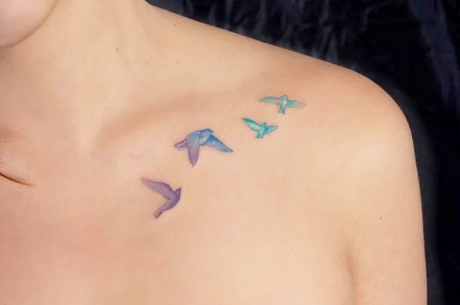 Tetoválás madarak a kulcscsonton. Fotó, jelentés, vázlatok