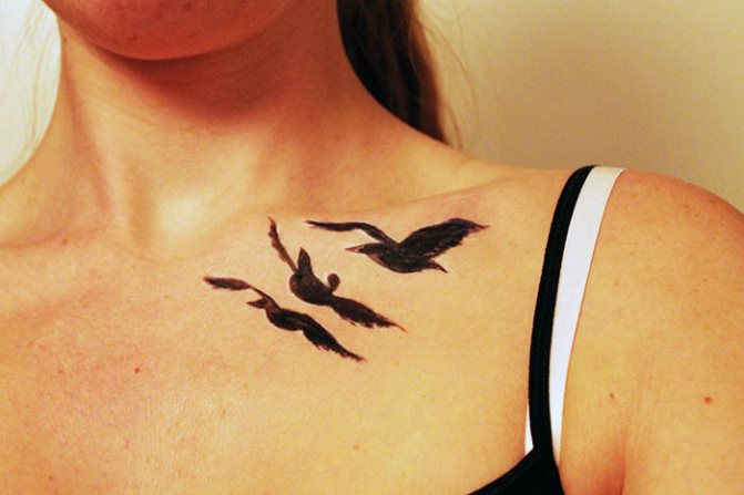 鎖骨に鳥のタトゥー。写真、意味、スケッチ