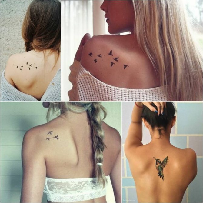 Tetoválás madarak - Tetoválás madarak a hátamon - Tetoválás egy madár a hátamon