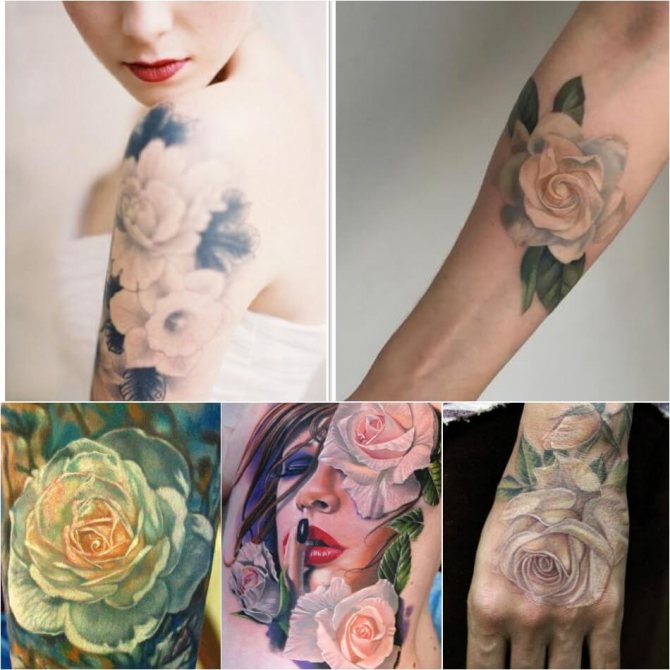 Tatuaj trandafir - Tatuaj trandafir semnificație culoare - Tatuaj trandafir alb