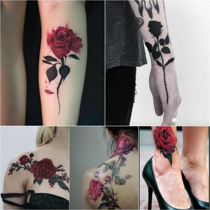Tatuaż Róża - Tatuaż Róża Znaczenie - Tatuaż Róża Bez Kolców - Tatuaż Róża Bez Kolców