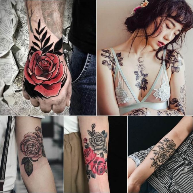 纹身玫瑰 - 纹身玫瑰