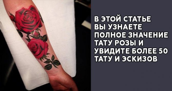 Tatuaj sensul de Rose