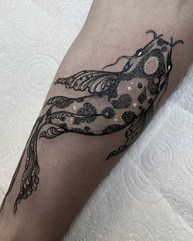 significado de peixe tatuado