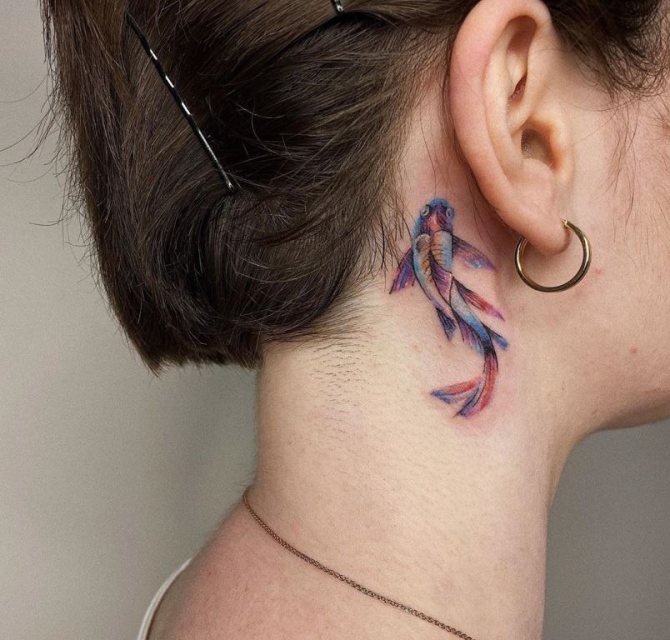 tatuagem de esboços de peixe