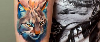 Tattoo bobcat