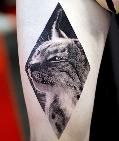 Tattoo lynx - fotografie