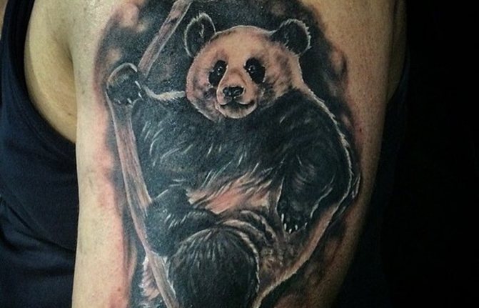 tatovering af en panda