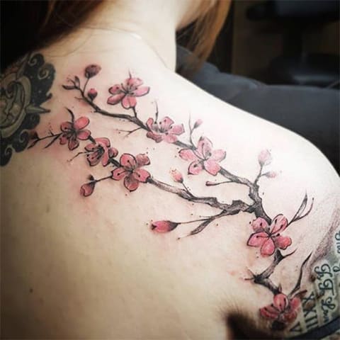 Tetoválás cseresznyevirágokkal