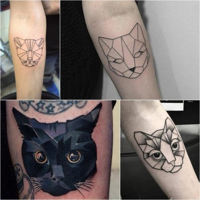 Tatuagem com animais - Tatu-kot-Tatu-kot-geometriya-Tatuirovka-koshka-geometriya