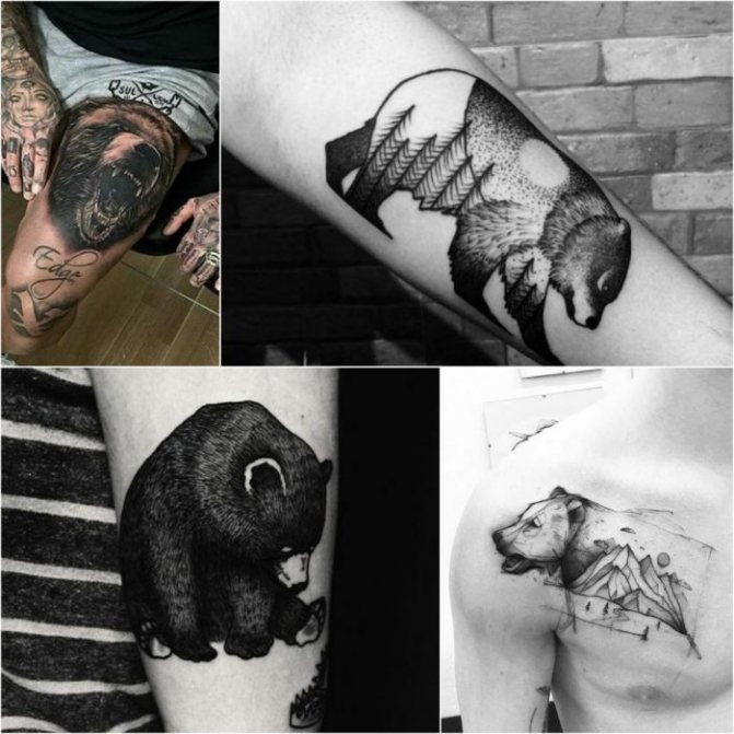 Živalska tetovaža - Tatu-medved-Muzhskie-tatu-medved-Tatu-dlya-muzhchin-medved