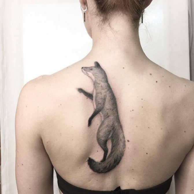 Ζώα τατουάζ - ζώα τατουάζ - αλεπού τατουάζ - αλεπού τατουάζ
