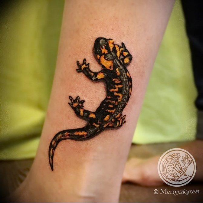 Tatouage réaliste de salamandre sur le tibia