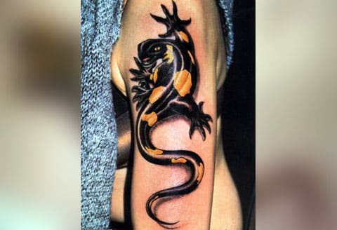 Tatuiruotė salamandra