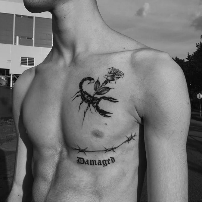tatuaj scorpion - tatuaj scorpion și trandafir - tatuaj trandafir și scorpion
