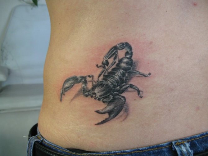 escorpião tatuado