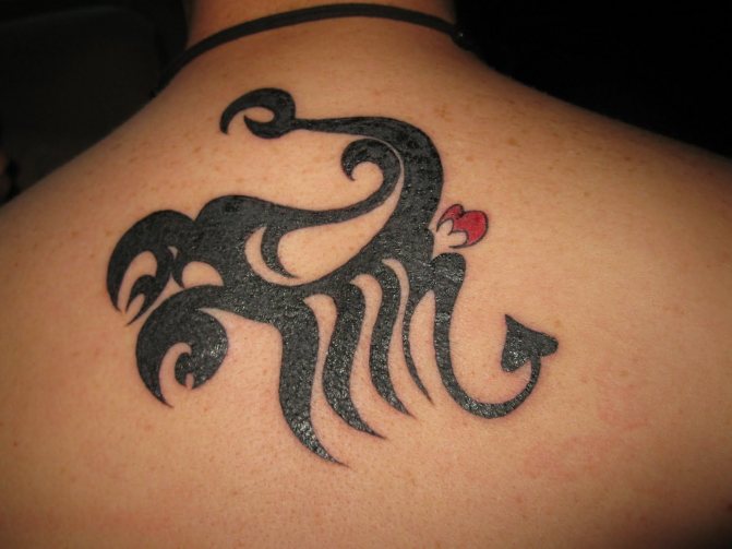 skorpion tatovering