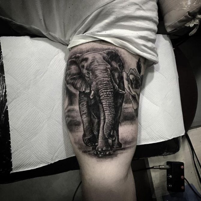 tatouage d'éléphant sur la main