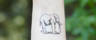 纹身大象在区的意义