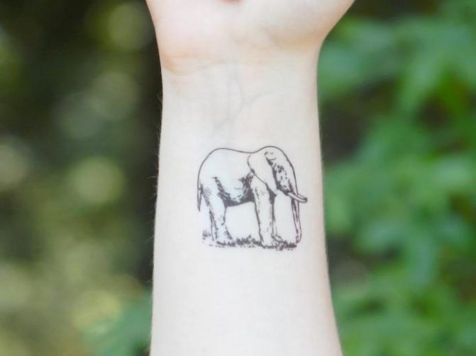 Tattoo slon pomen v zaporu