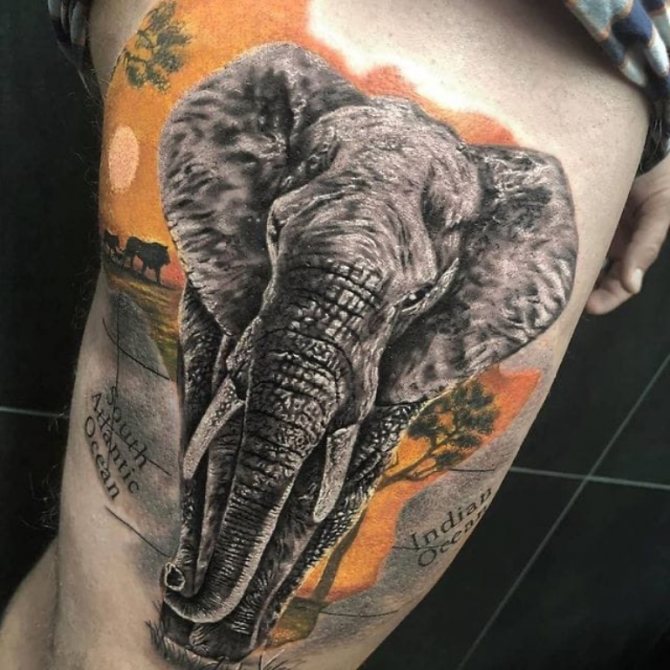 татуировка на слон