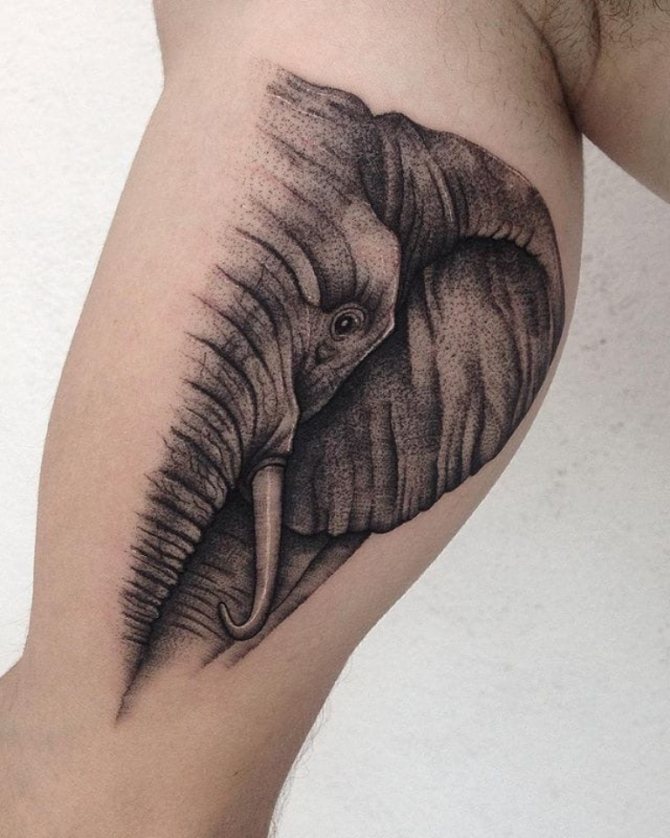 elevant tattoo tähendus