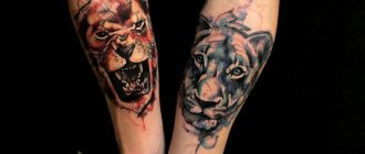 Tatuagem de um leão