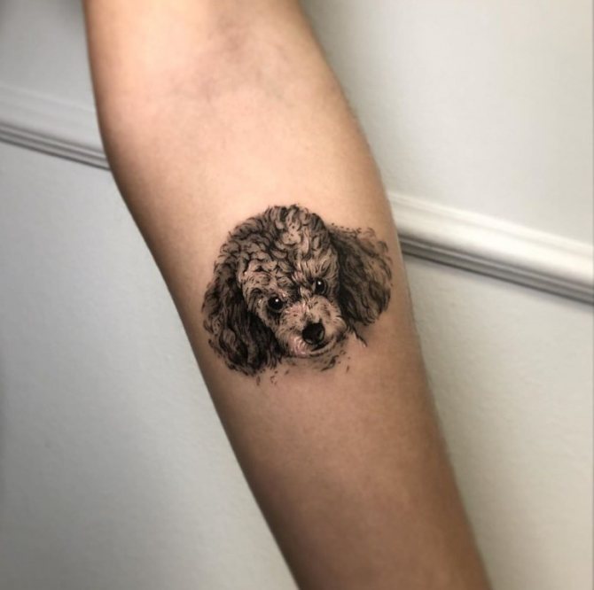 τατουάζ ενός σκύλου σκίτσα