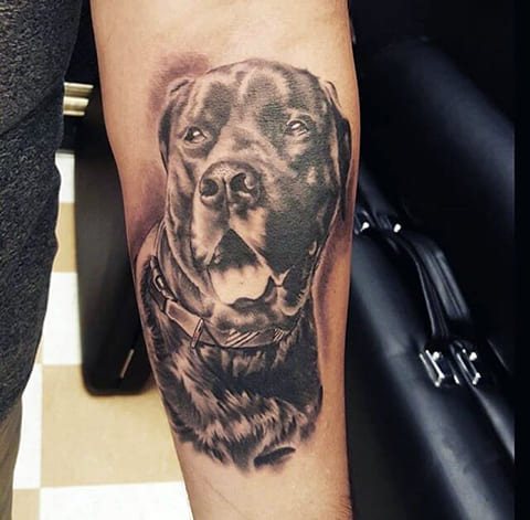 Tatuaggio di un cane sull'avambraccio