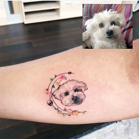 Tatuiruotė šuo ant rankos - nuotrauka