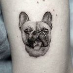 Σκύλος τατουάζ
