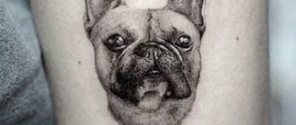 Tattoo hond