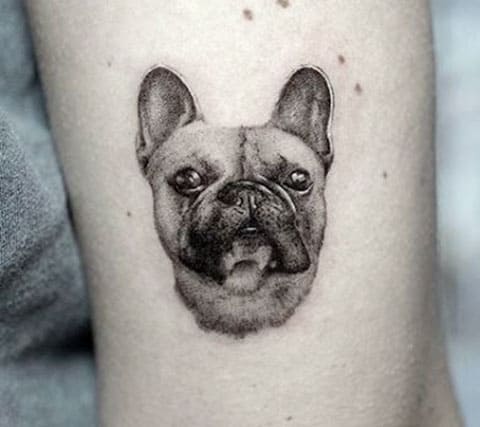 Κάντε τατουάζ σε ένα σκύλο