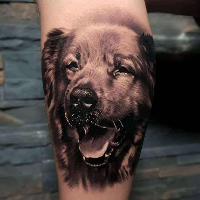 νόημα τατουάζ σκύλου