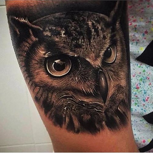 女孩手臂上的猫头鹰纹身。照片、意义、草图
