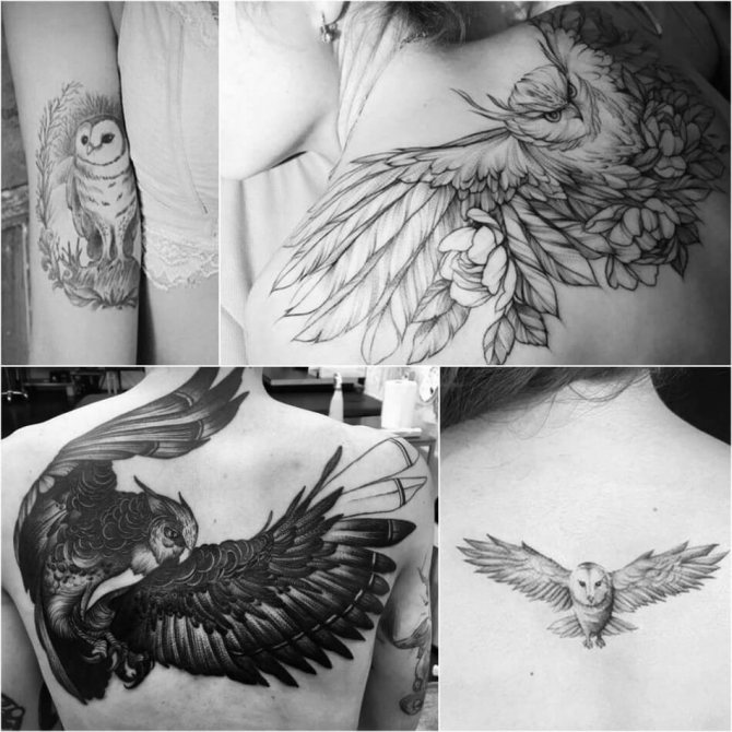 Egy bagoly tetoválása - A bagoly tetoválásának jelentése és vázlatai
