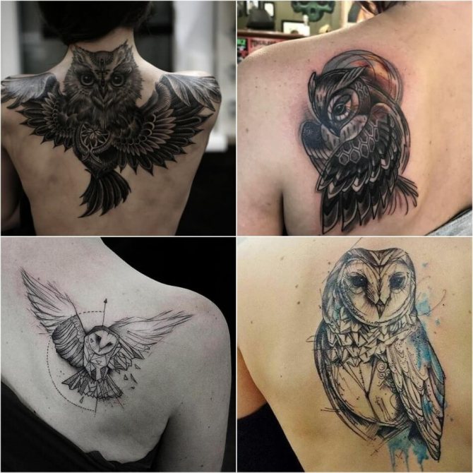 Tetování sovy - Význam a náčrty tetování sovy