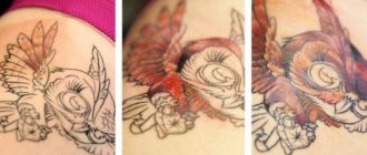 Tatuagem de uma Coruja