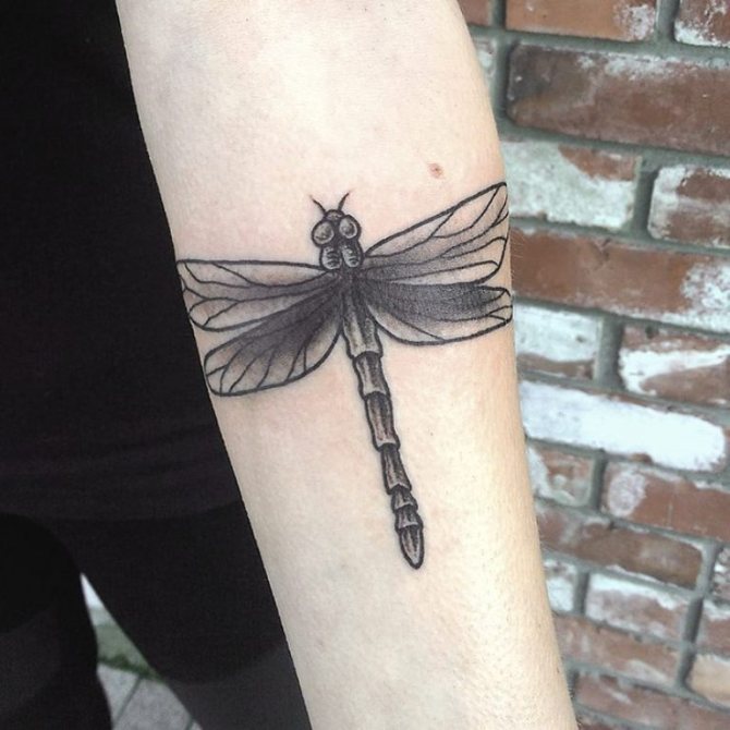 男人的蜻蜓纹身
