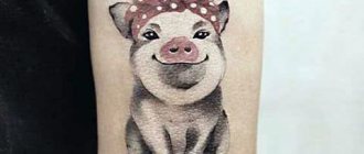 纹身猪