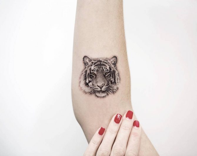 tigro tatuiruotė ant rankos