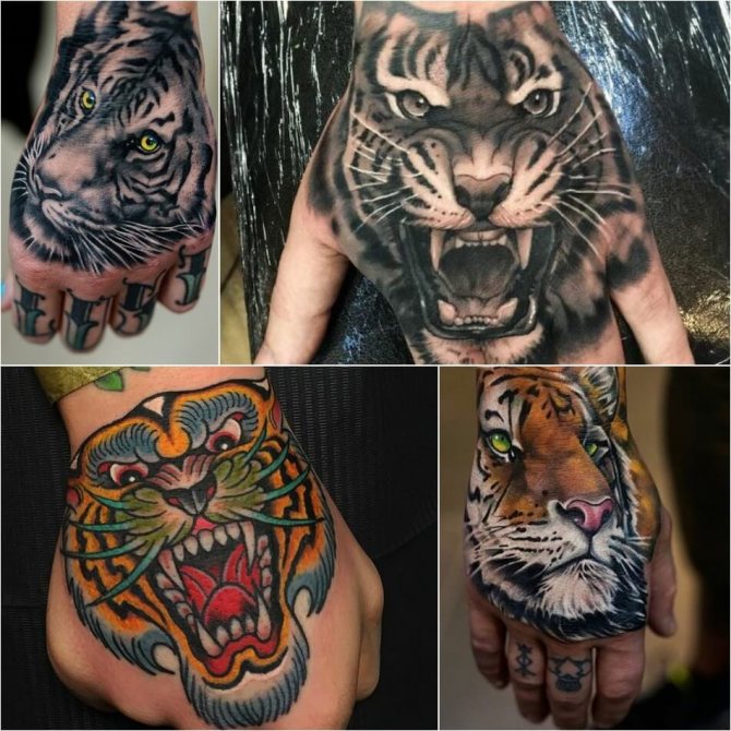 Tatoeage tijger - tijgertattoo op handen - Tatoeage tijger op handen