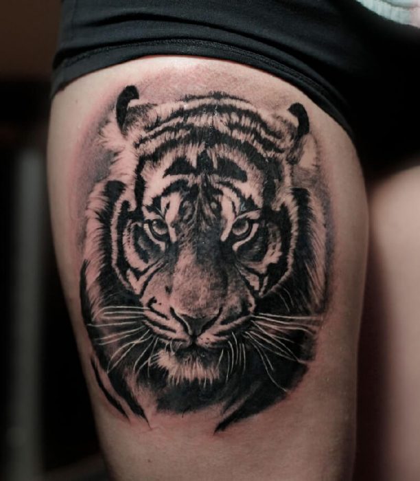 Tiger tatovering - Tiger tatovering - Betydning af tiger tatovering