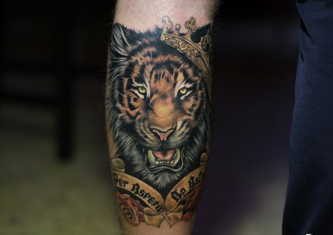 έννοια τατουάζ τίγρης