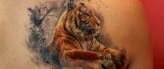 tatuagem de tigre